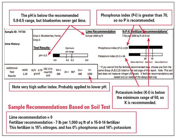 Soil test report for blueberries- pH below range, P-I above 70, K-I below min., S-I high. No lime or P recommended. K is recommended
